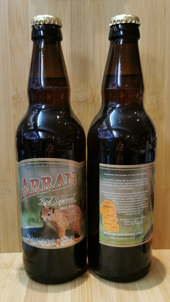Arran Red Squirrel - Arran
